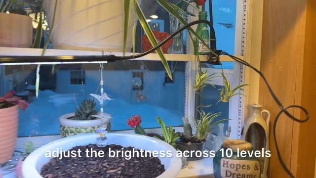 Amazon.com : Bloom Lume LED Grow Lights for Indoor Plants Full